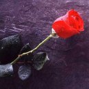 간석역 남광장 이미지