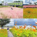 장천체육공원 간이 화장실 | "핑크뮬리 끝판왕" 경남 합천 신소양체육공원 가을꽃 여행