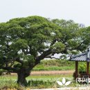 조경설계서림