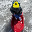 삼남매목장 2 | 아이와 양평여행 / 삼남매 여행