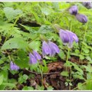 바래봉길 이미지