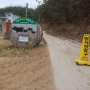 안동흙돼지농장