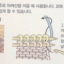기초부터 배우는 손뜨개(코바늘, 대바늘) 이미지