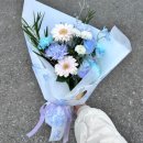 수원-1517 이미지