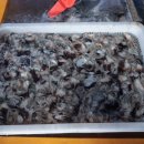 푸드어택 이미지