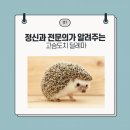 합정꿈정신건강의학과의원 이미지