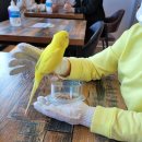 카페오늘 이미지