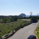 김상희공인중개사사무소봄봄 이미지