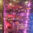 화신돼지 이미지