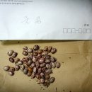 황골농장 이미지