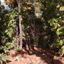 송산조견선생묘 이미지