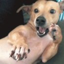 무이비엔 이미지