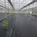 남진농장 이미지