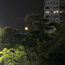 핑크달(pinkmoon)
