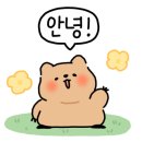 다온래쉬 네이버블로그
