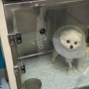 미용농장 이미지