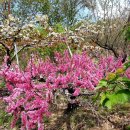 금강4농장 이미지