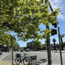 (주)잼퍼블릭 이미지