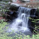 춘천상가전문공인중개사사무소 이미지