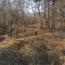 용정3리 이미지