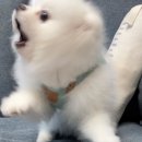 마레하우스 네이버블로그