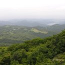 광일목장 이미지