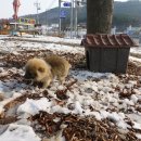 부근1리 경로당 네이버블로그