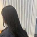 Seol Hair (설헤어)