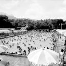 어린이대공원수영장 이미지