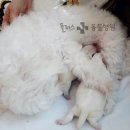 해운대플러스동물병원 이미지