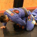 크로스 주짓수 이미지