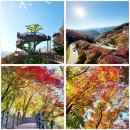 10.27.월. 충북 보은군 속리산 테마파크 모노레일+세조길 특별 번개 트레킹 안내 및 예약/취소합니다 이미지