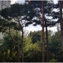 광교갤럭시공인중개사사무소 이미지