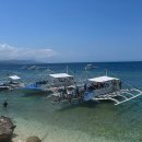 댕냥이네곳간 | 모알보알 : 광고 X 🐠 Cebu Seaview Dive Resort 씨뷰 다이브 리조트 리얼 후기 (위치, 가격, 조식, 장단점)