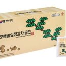 오행생활건강