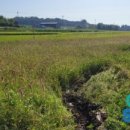 HL 태양광발전소 이미지