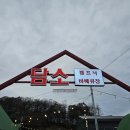 담소캠프닉