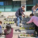 숭인2동주민센터 이미지