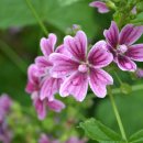 형석농장 이미지