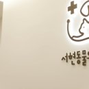 서현동물의료센터 이미지