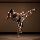 베테랑태권도 이미지