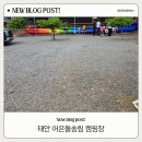 어은돌야영장 | 아이랑 태안 어은돌 송림 캠핑장 2박3일 솔직 후기