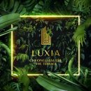 더 테라스 이미지