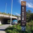 광주목장 이미지