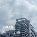 1.2m stay | 강릉 세인트존스 호텔 수영장:인피니티풀vs파인풀 내돈내산 비교ㅣ수영복 안챙겨온 사람들 꿀팁