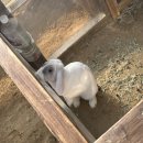 은준농장 이미지