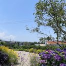 새미언덕 이미지