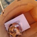 더 포레 동물병원 이미지