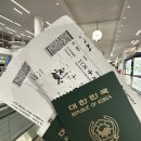 마두로담 | 스페셜 포토덤프 #1 🇳🇱네덜란드 여행기, 덴하그