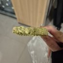 와이앤영 | [Review] 올리브영 신상 다이어트 간식 : 크런틴 단백질 바 초코, 말차플리즈 11월 행사 가격 후기